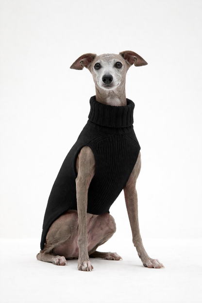 CASHMERE JERSEY DOG SWEATER